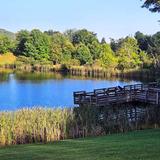 Ashe County Park