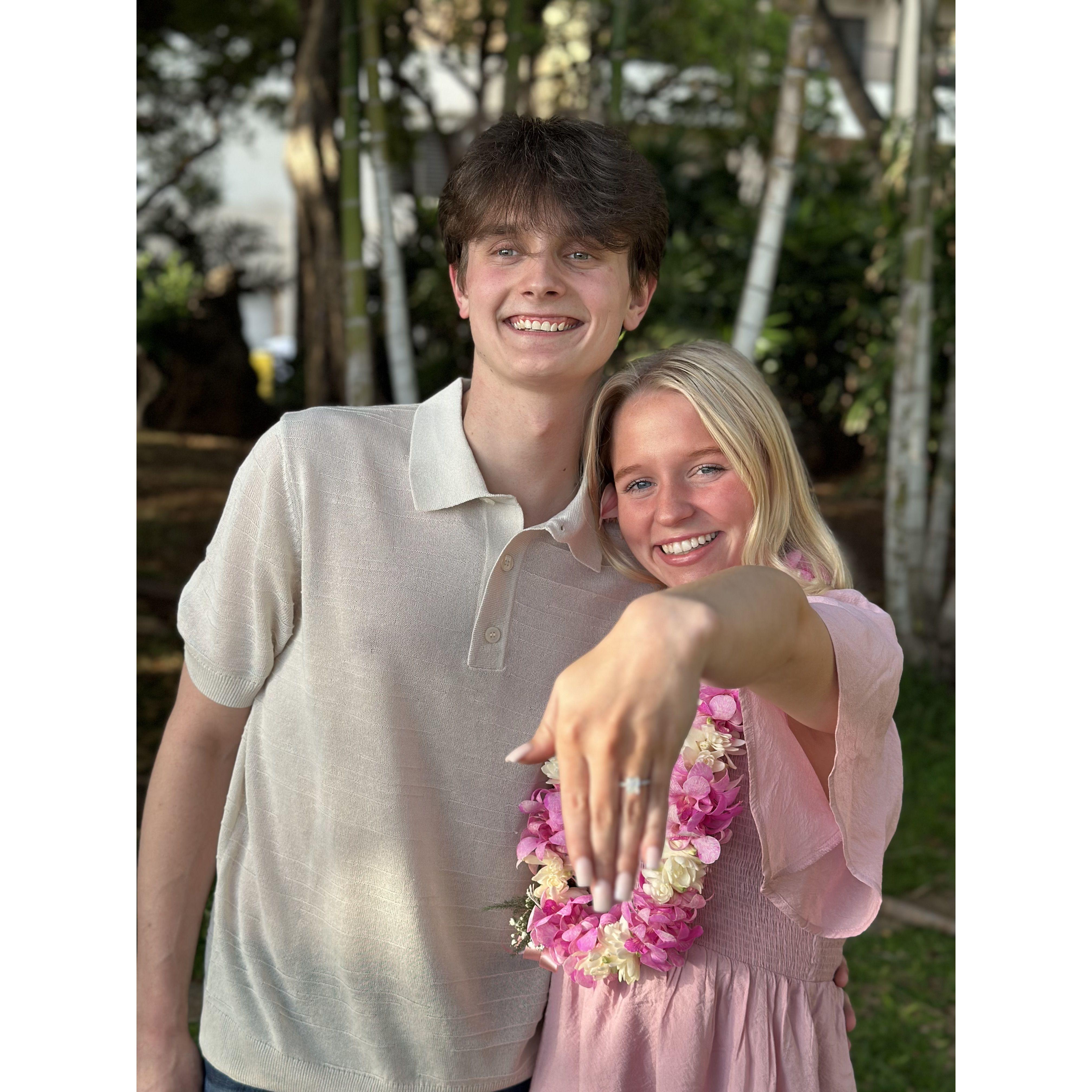 Engaged in HAWAII