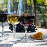 Wine Tasting at Regional de Colares Winery