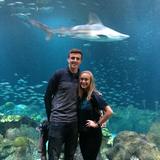 Shedd Aquarium