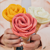 Amorino Gelato - Raleigh