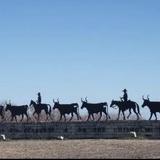 The Chisholm Trail Outdoor Museum