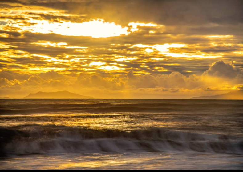 The Wedding Website of Alma Rodriguez and Nels Thogerson