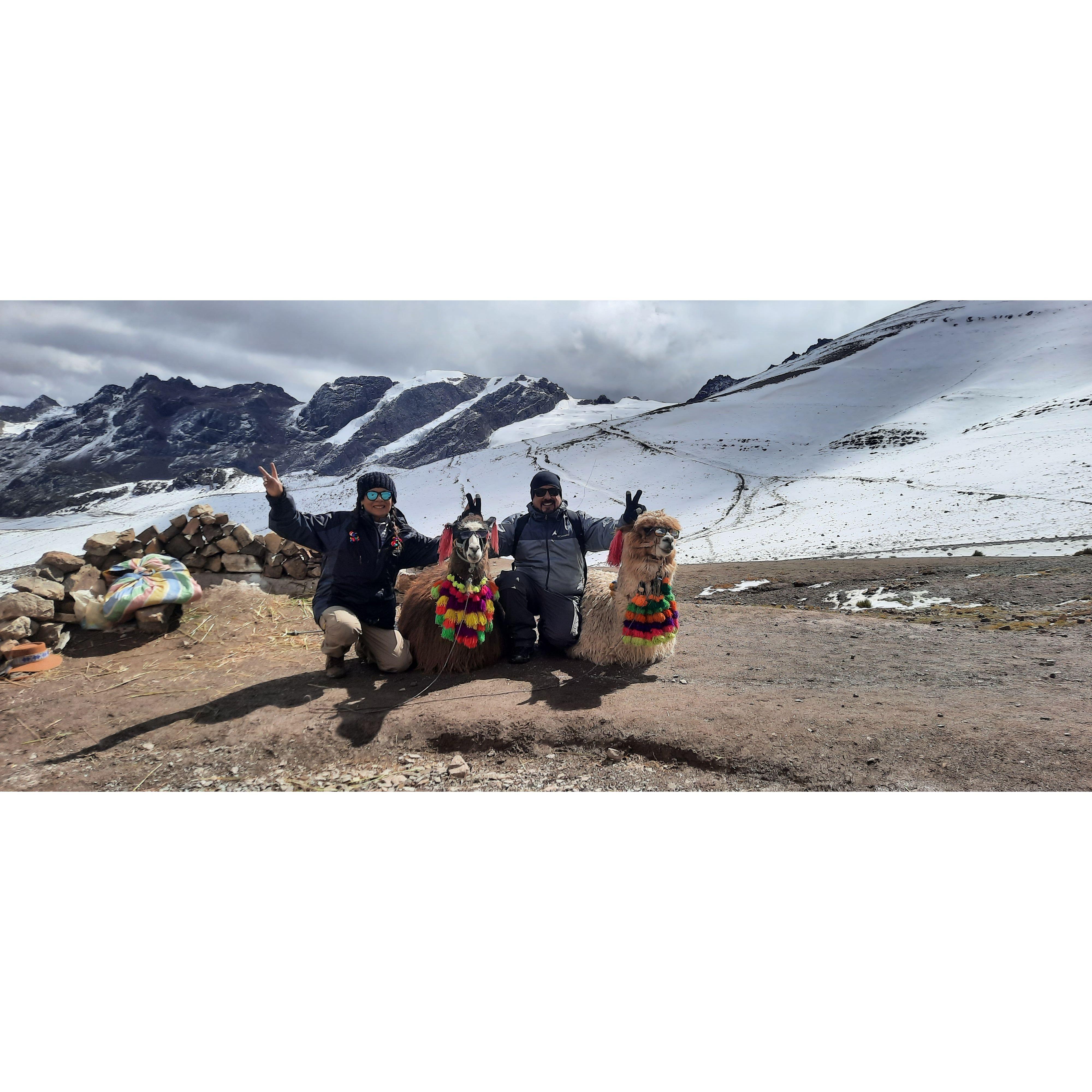 Llama me.. :-) , Montana de colores , Cusco - Peru