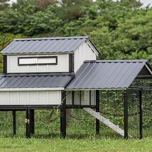 Producer's Pride Bungalow Coop, 6 Chicken Capacity at Tractor Supply Co