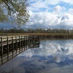 Tifft Nature Preserve