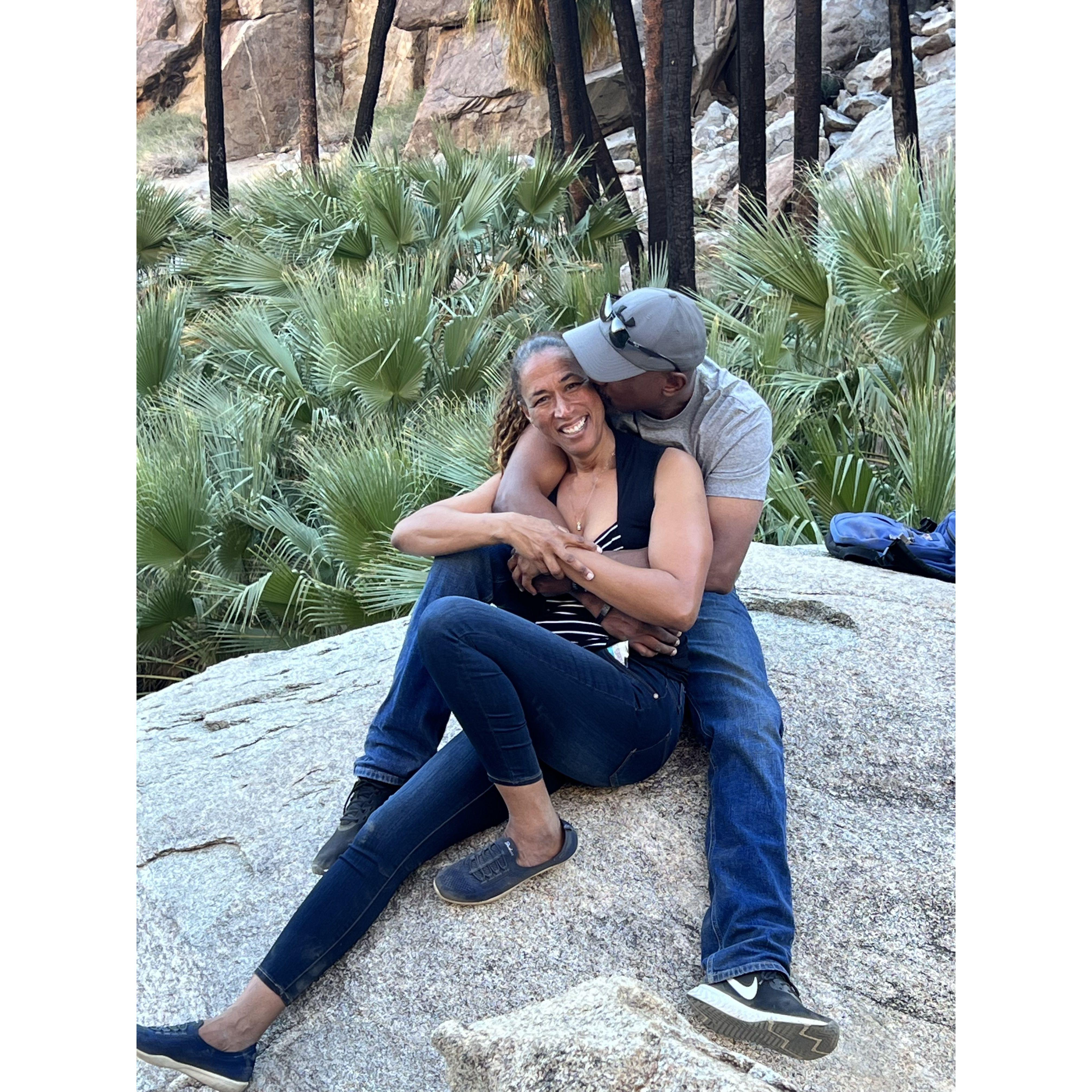 This was a literal oasis in the Anza Borego desert.