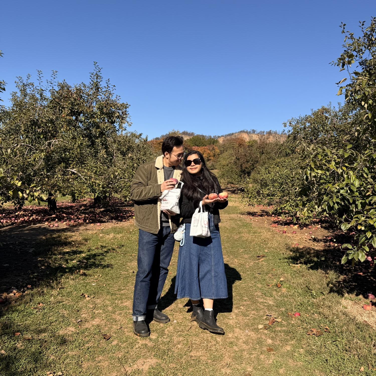 Apple picking