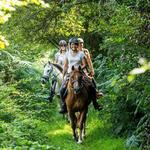 Horseback Riding and Pony Rides