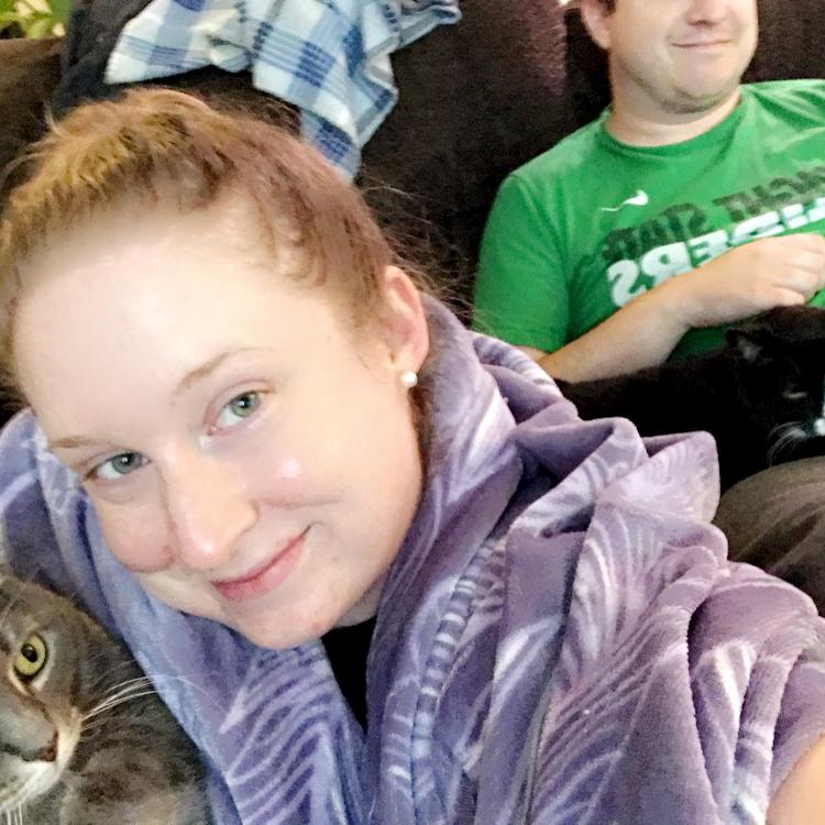 Trying to get a family pic with all 3 cats