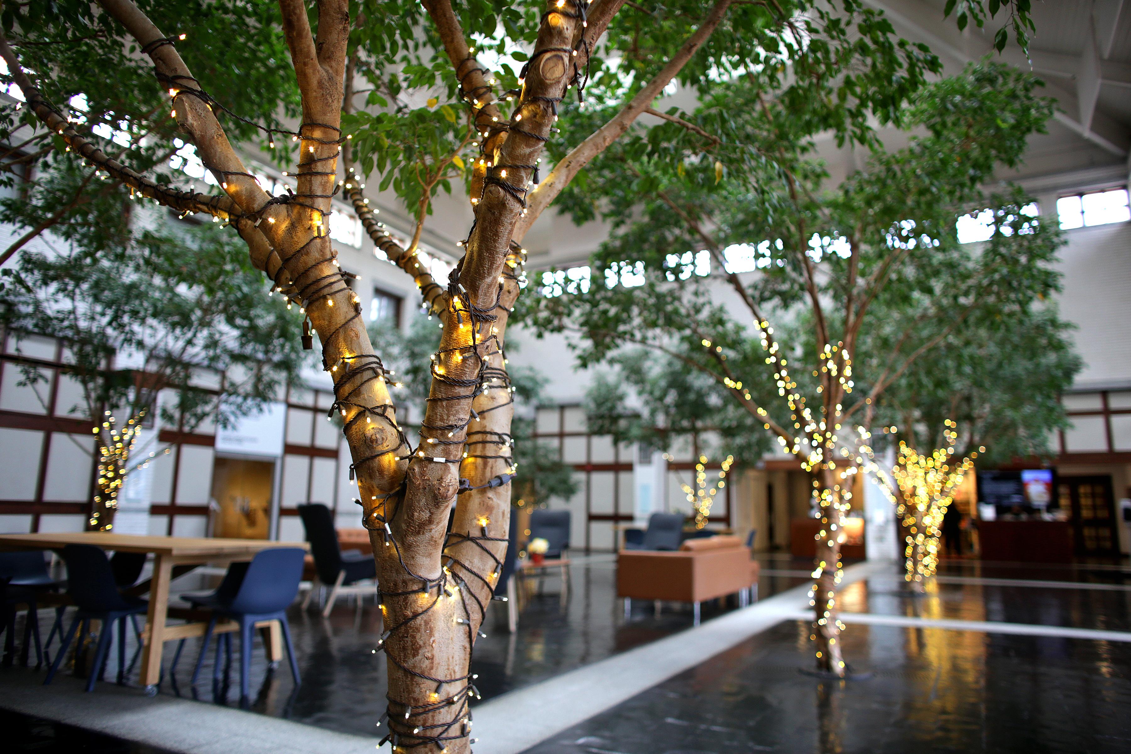 The Wedding Website of Logan Spear and Ruhi Srinivasan