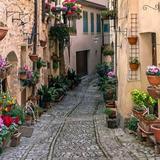 Town of Spello