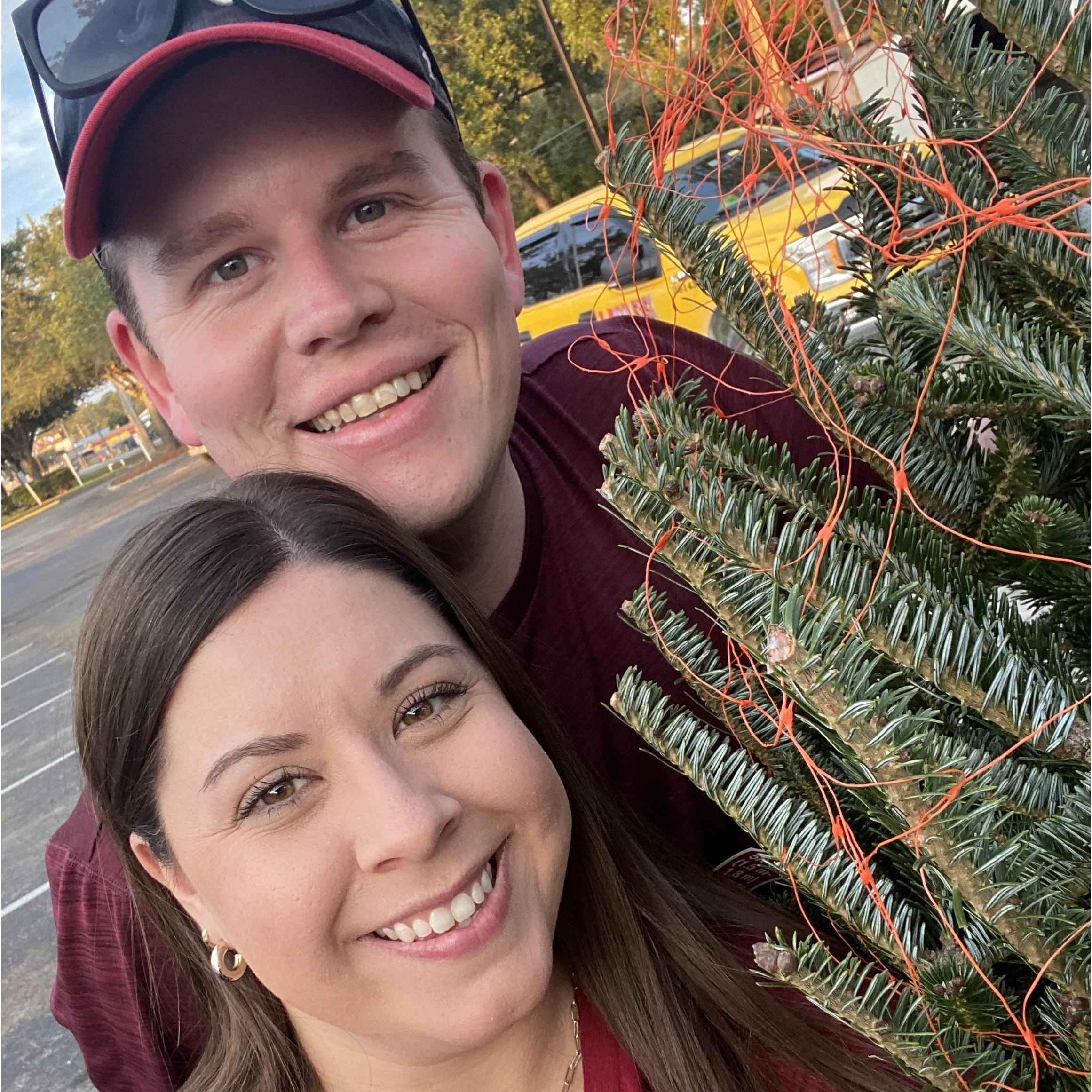 Our second Christmas tree, Bushy 2!