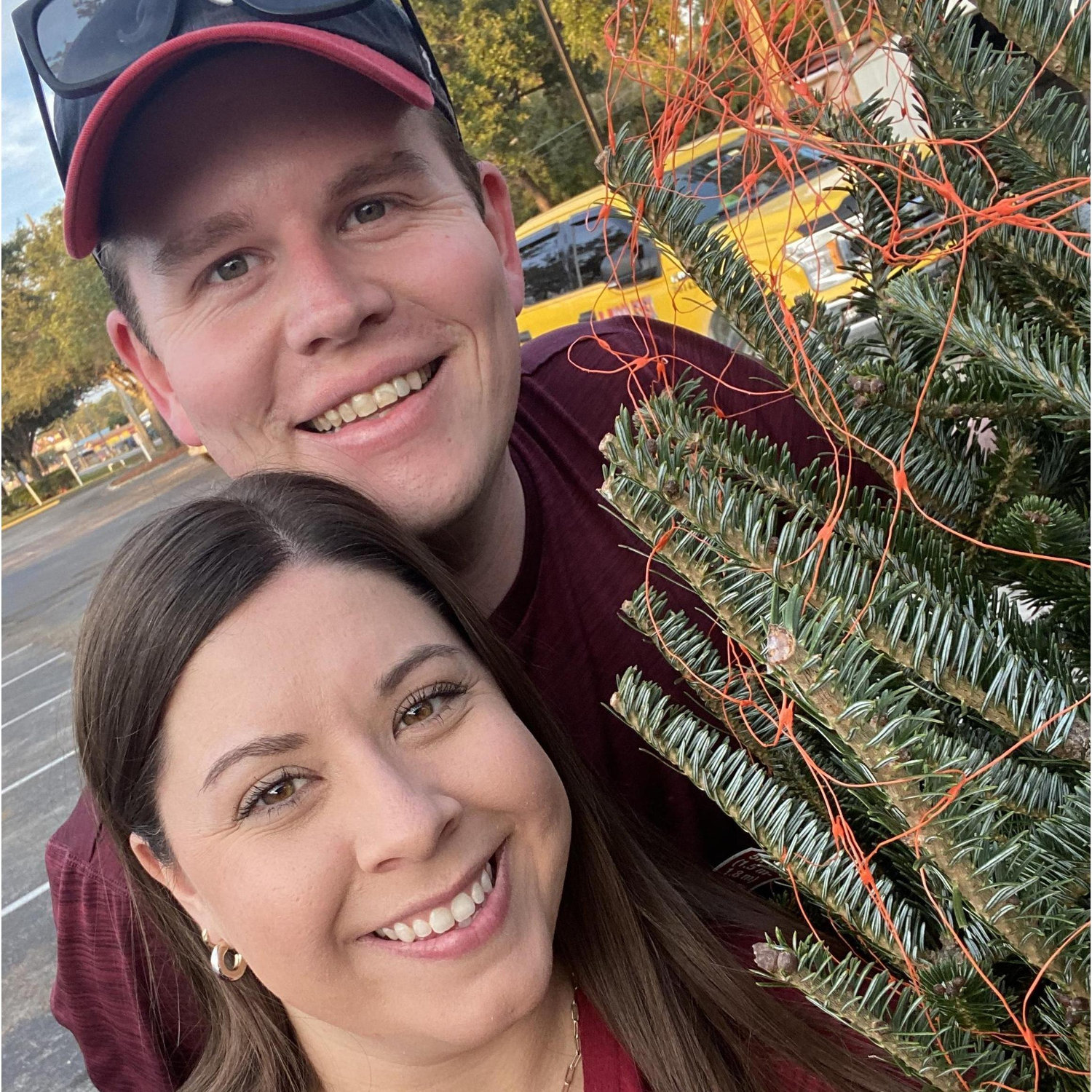 Our second Christmas tree, Bushy 2!