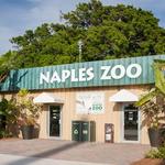 Naples Zoo at Caribbean Gardens