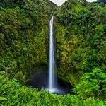 Akaka Falls State Park