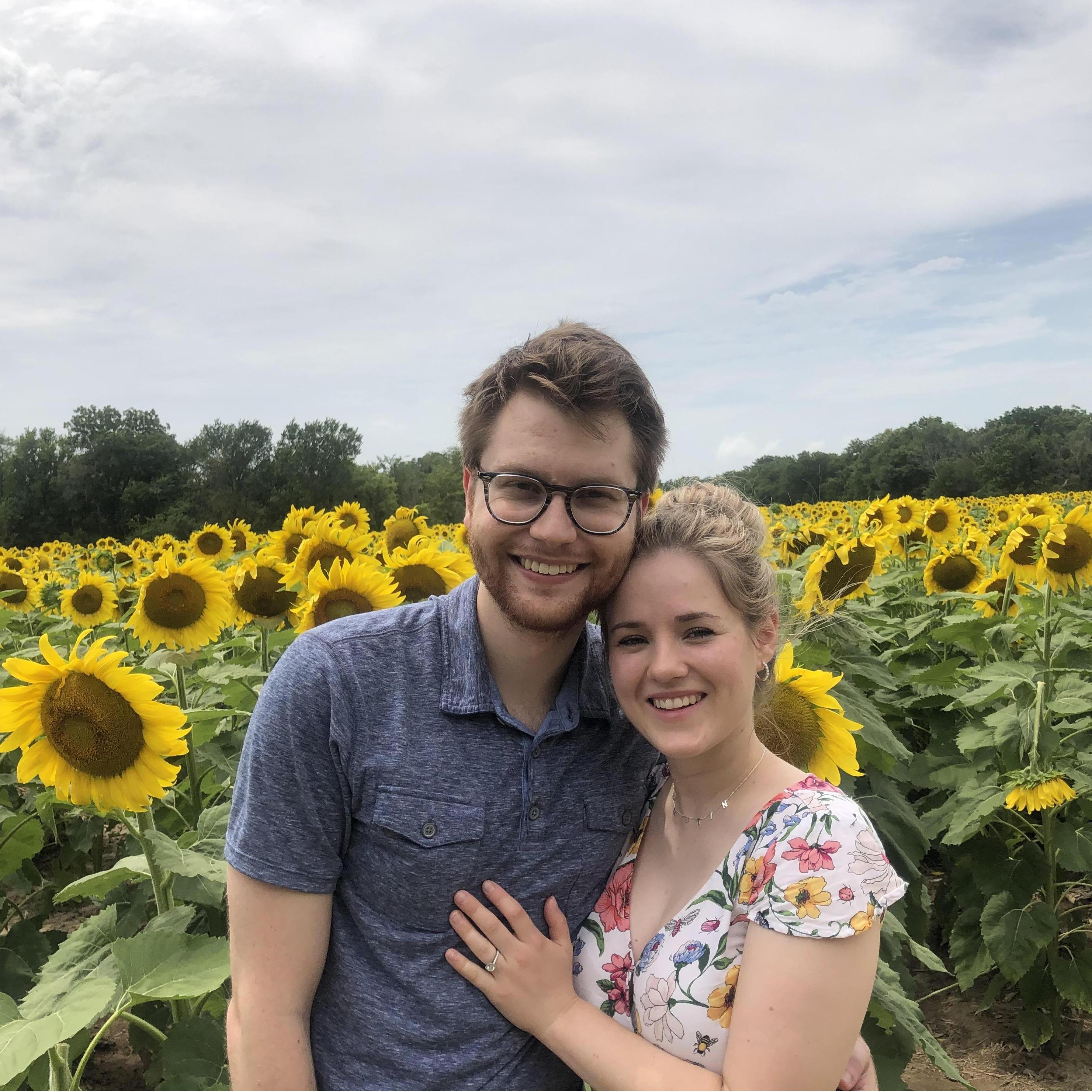 Quarantine date to the sunflower field July 2020