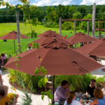 Ithaca Beer Co