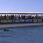 Hubbard's Marina