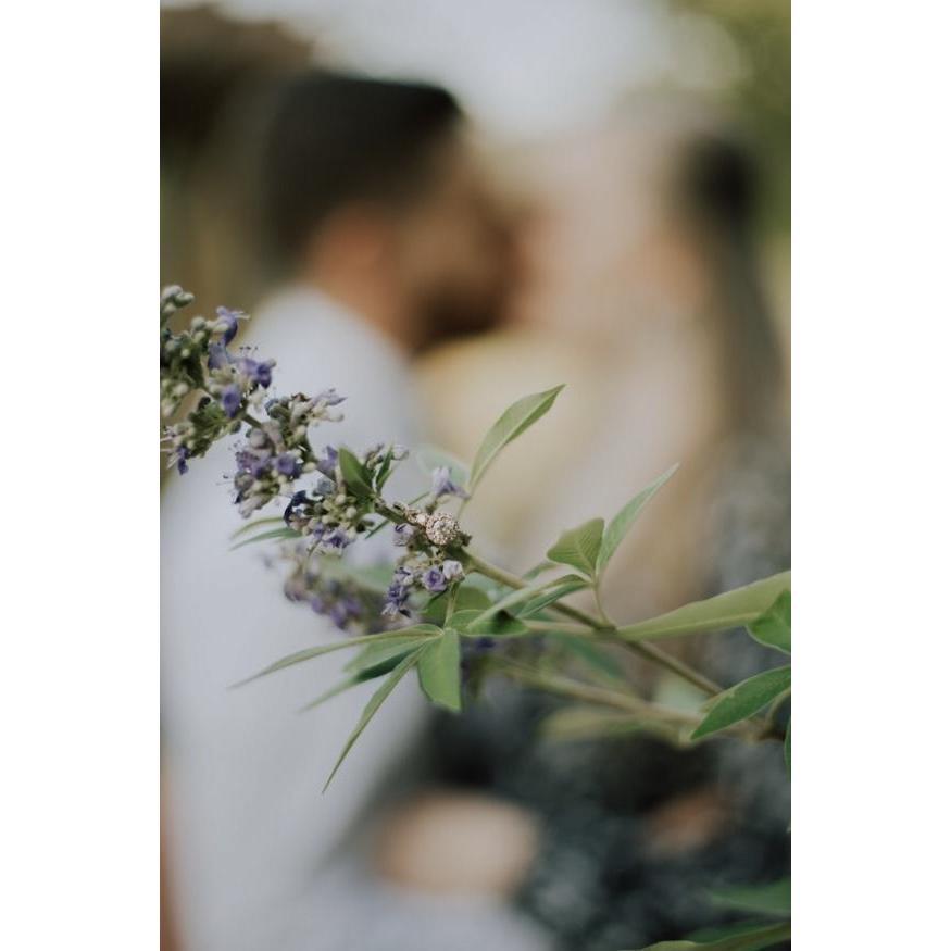 Engagement Pics