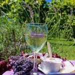 White Oak Lavender Farm & The Purple WOLF Vineyard
