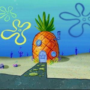 Home Down Payment