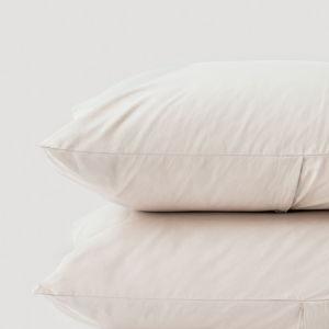PACT Home White Organic Cool-Air Percale Sham 2-Pack Bone ST