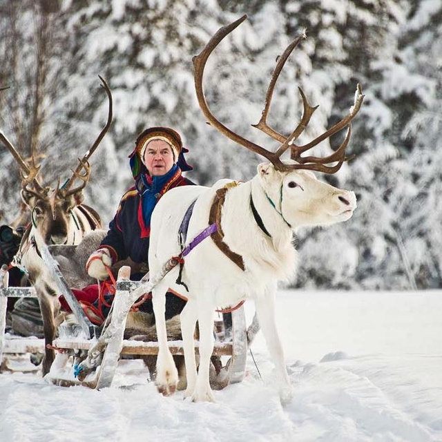 Thanks Williams family! Honeymoon 2HR Reindeer Aurora Safari for 2!