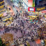 Shibuya Crossing
