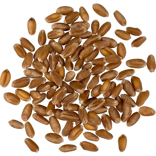 Palouse Brand Certified Glyphosate Residue Free Hard Red Winter Wheat Berries | 18 LBS | Family Farmed in Washington State | Non-GMO Project Verified | Certified Kosher Parve