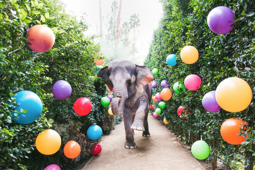 The Wedding Website of Charlie Haslup and Sarah Witcher