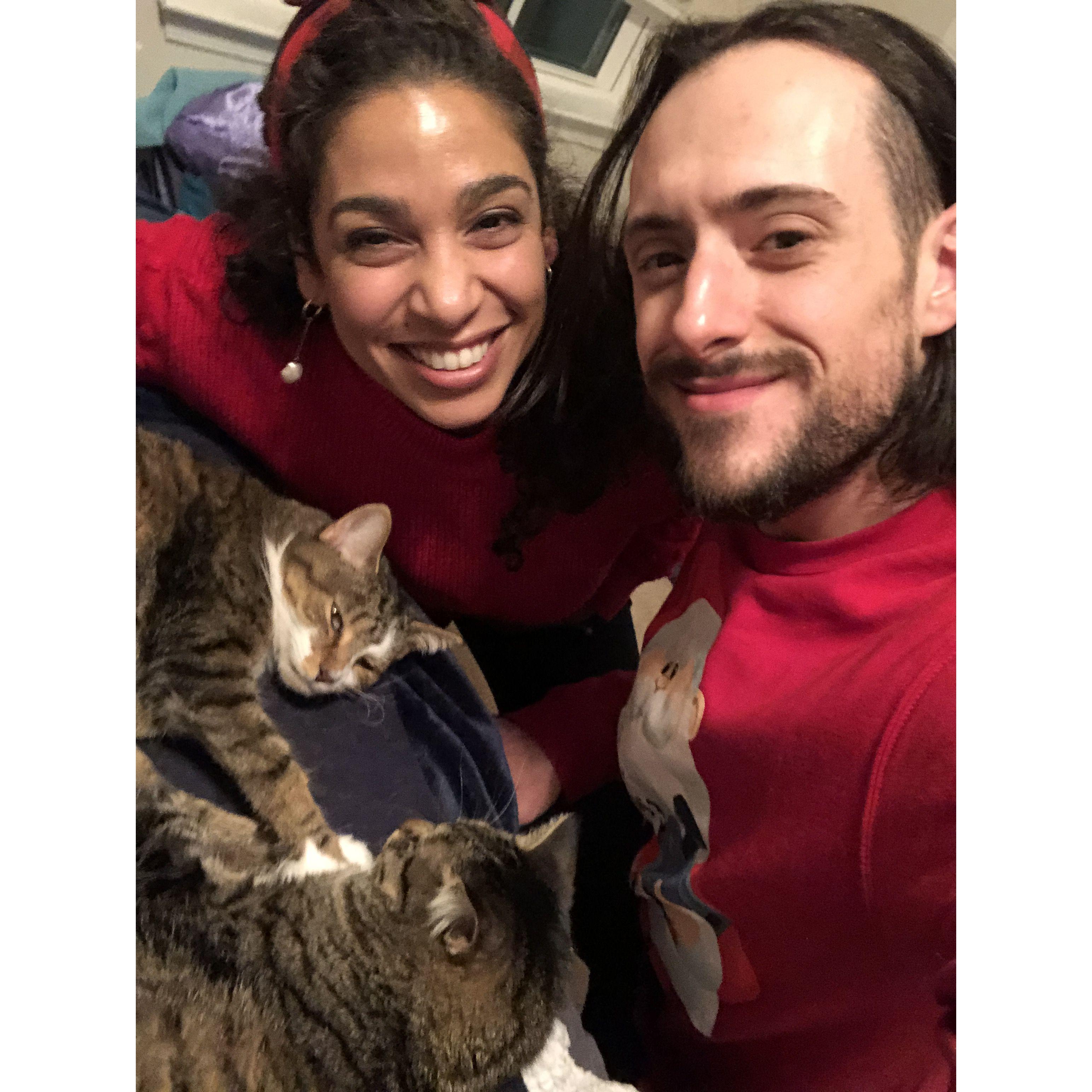 It's not the holidays without cheesy sweaters and kitties.