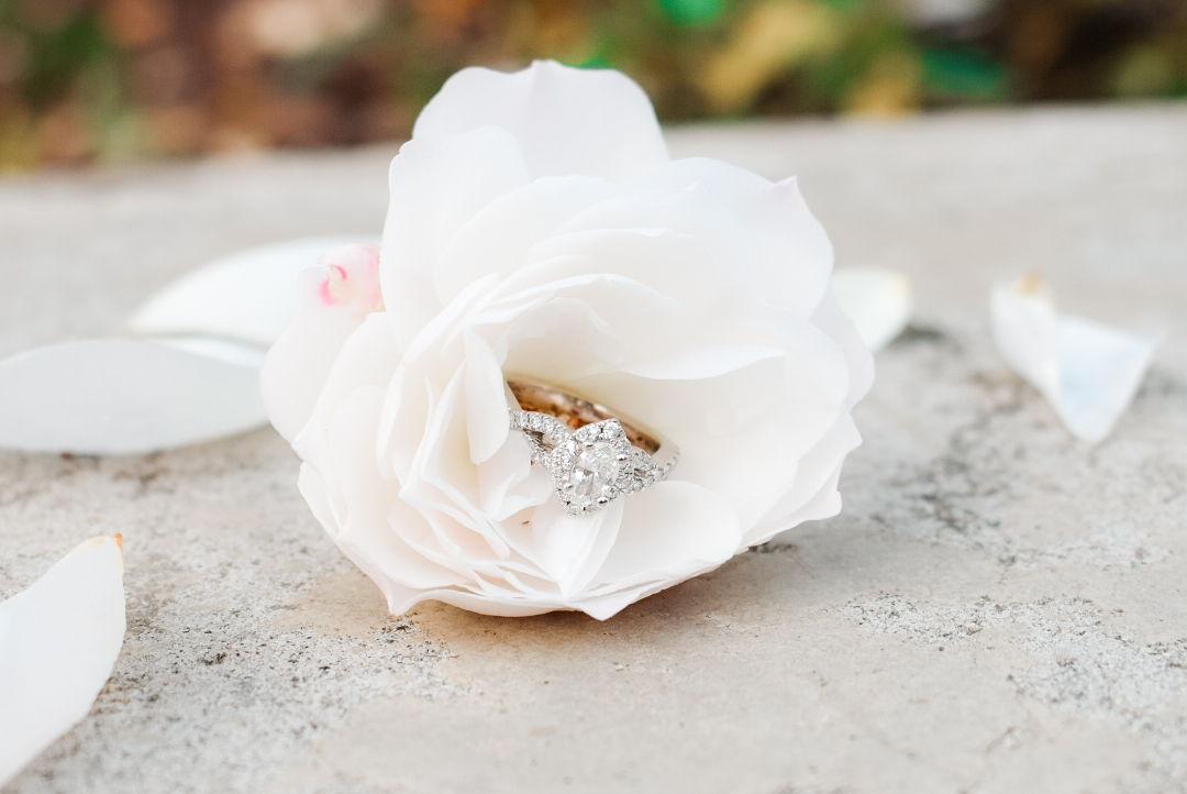 The Wedding Website of Kacey Marie Baker and Daniel James Lucchesi