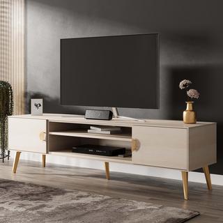 Haley 70.9" Mid-Century Modern TV Stand