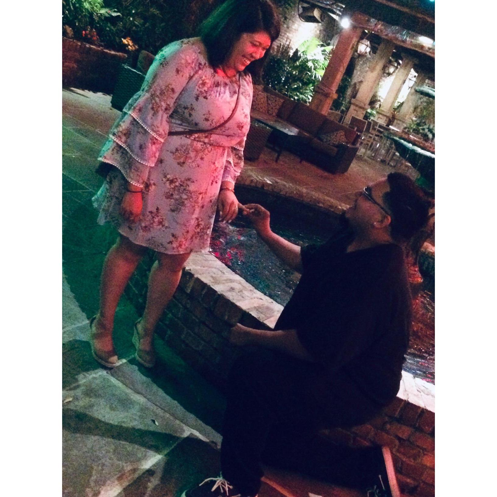 "I Do" May 4, 2019
