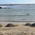Poipu Beach