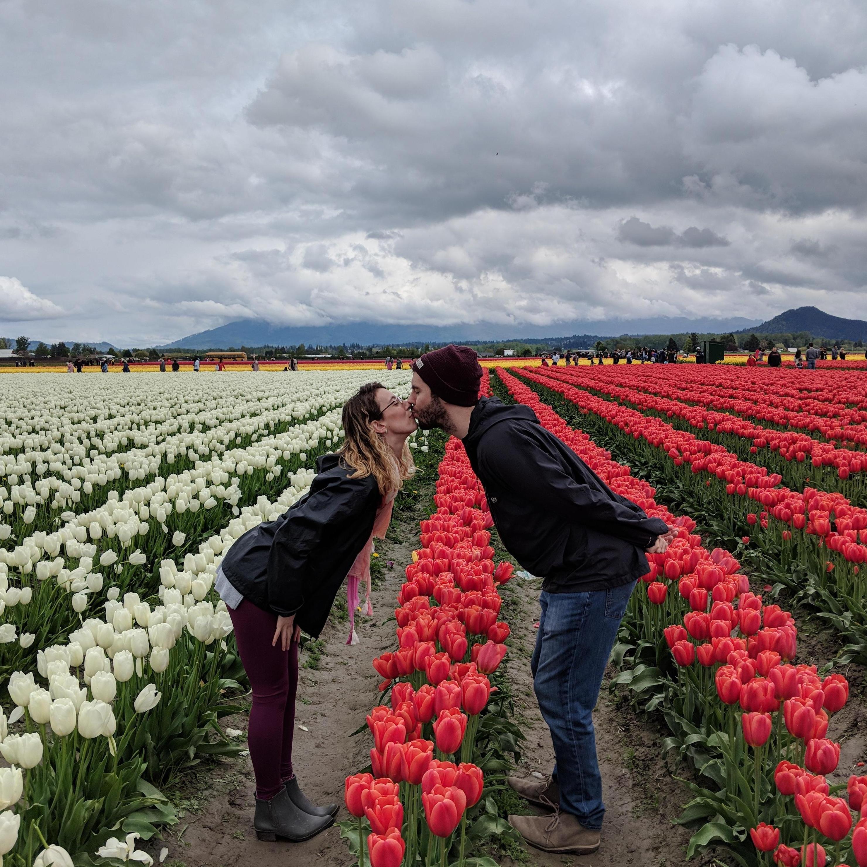 Skagit Valley Tulip Festival
Seattle, WA