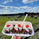 Howling Cow Dairy Education Center and Creamery