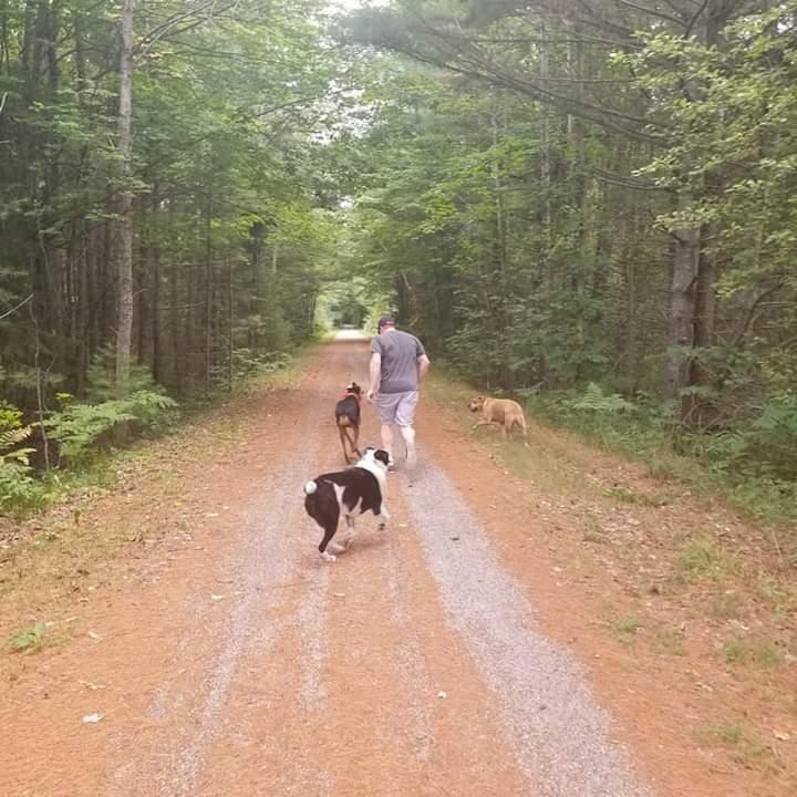 Taking a walk in northern Michigan