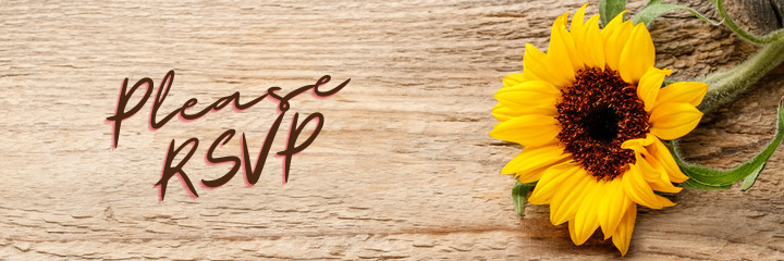 The Wedding Website of Krystin Baker and Daniel Ahlstrand