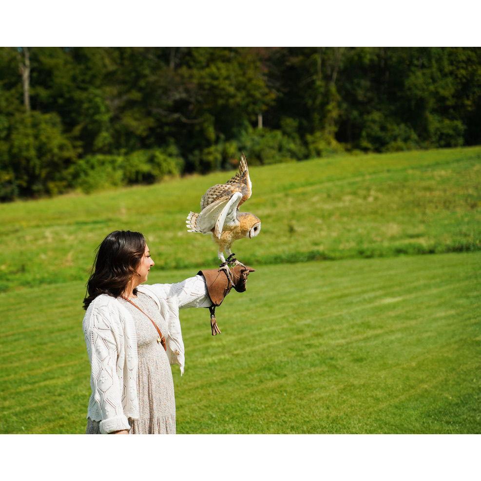 Kaylee flying the Barn Owl at The New England Falconry