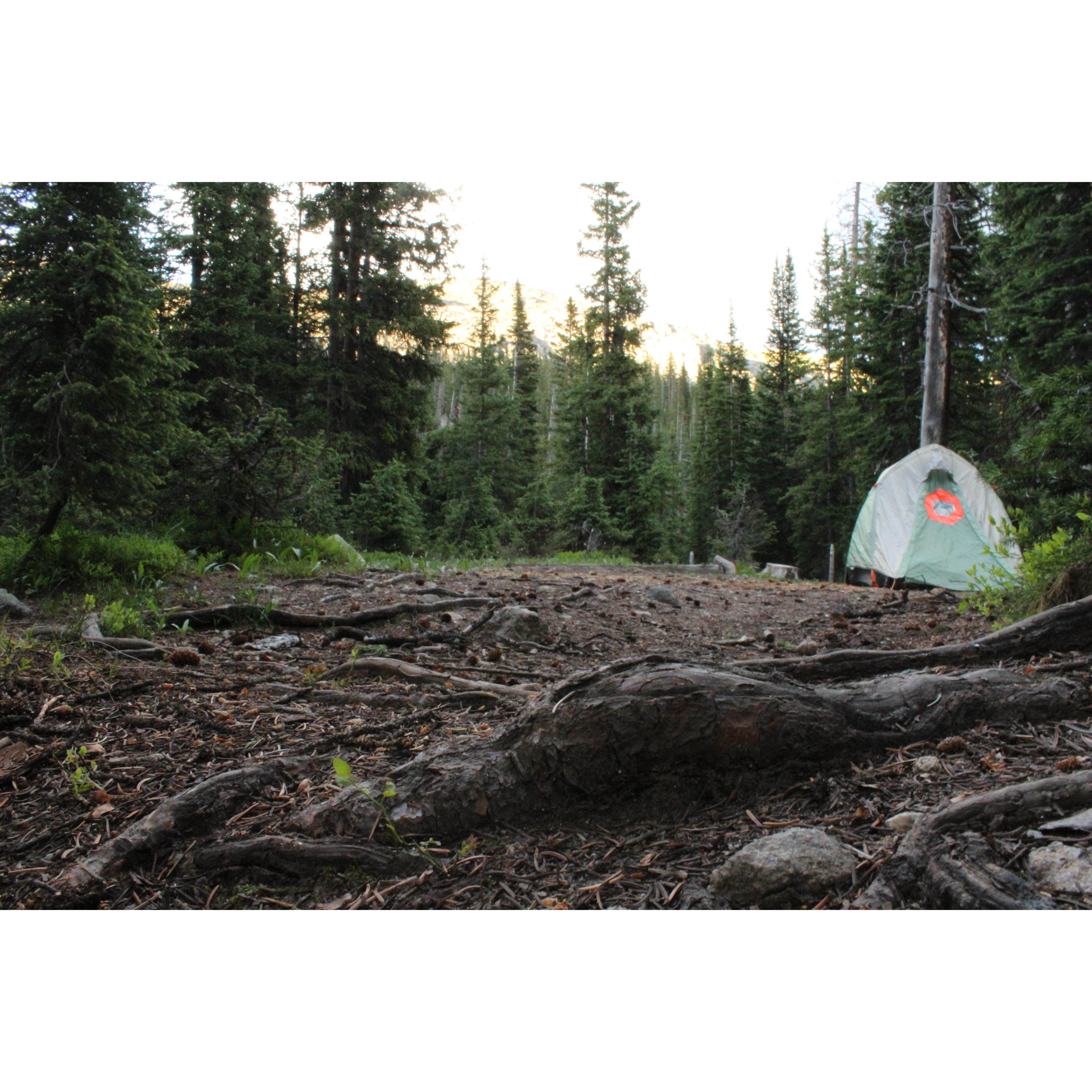 Camping trip Rocky Mountain National Park, Summer 2015
