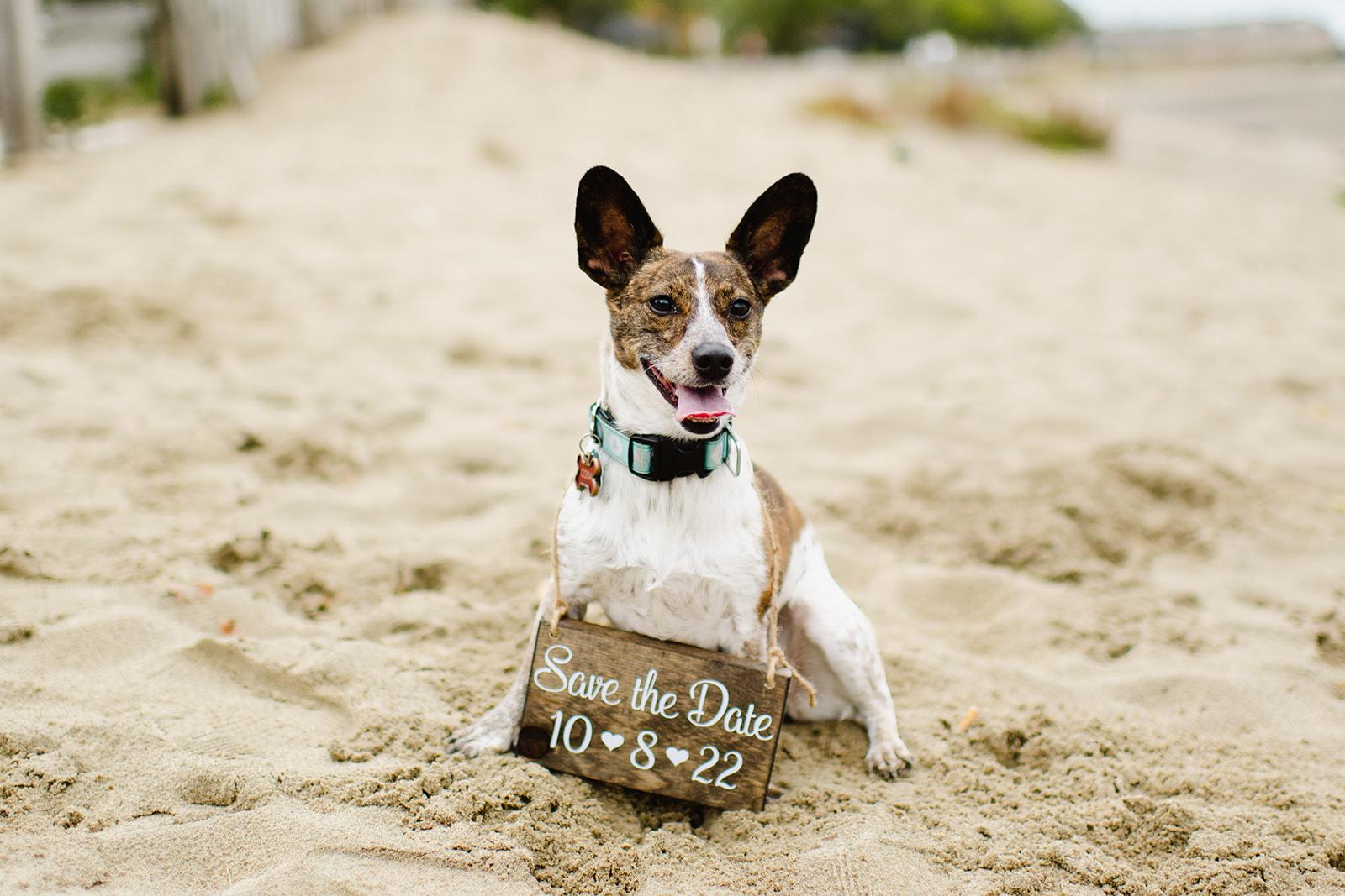 The Wedding Website of Claudia Rosenblatt and Sean Galletta