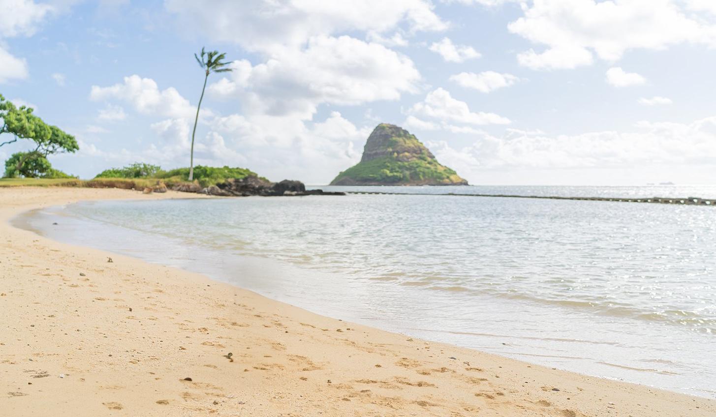 Hero Slideshow Image 0