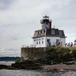 Seal Watch Tours