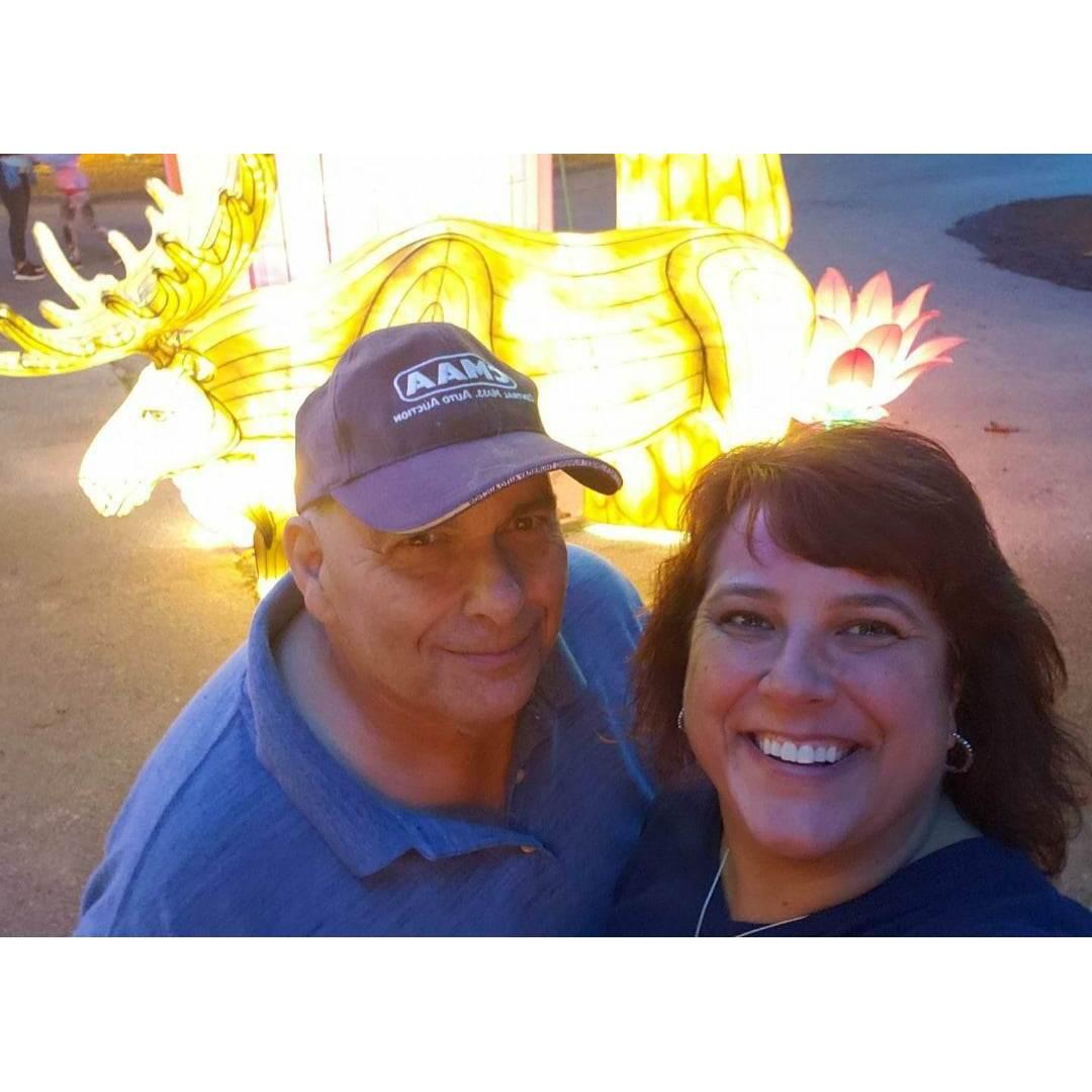 Bucket Adventure - Chinese Lanterns, Southwick Zoo