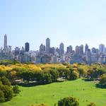Central Park