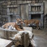 Tulsa Zoo