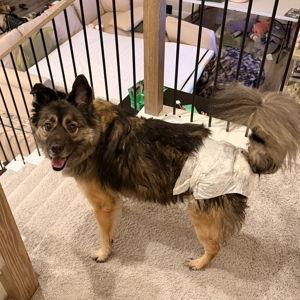 Griz's Retirement Fund
