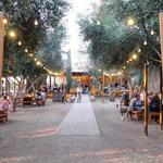 Queen Creek Olive Mill